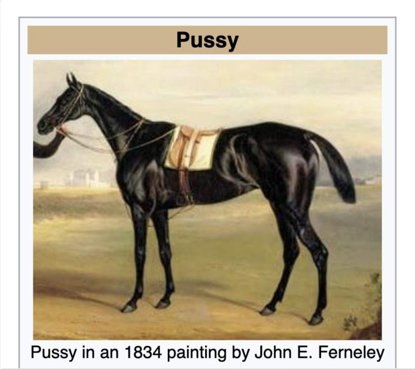 pussy, the horse
